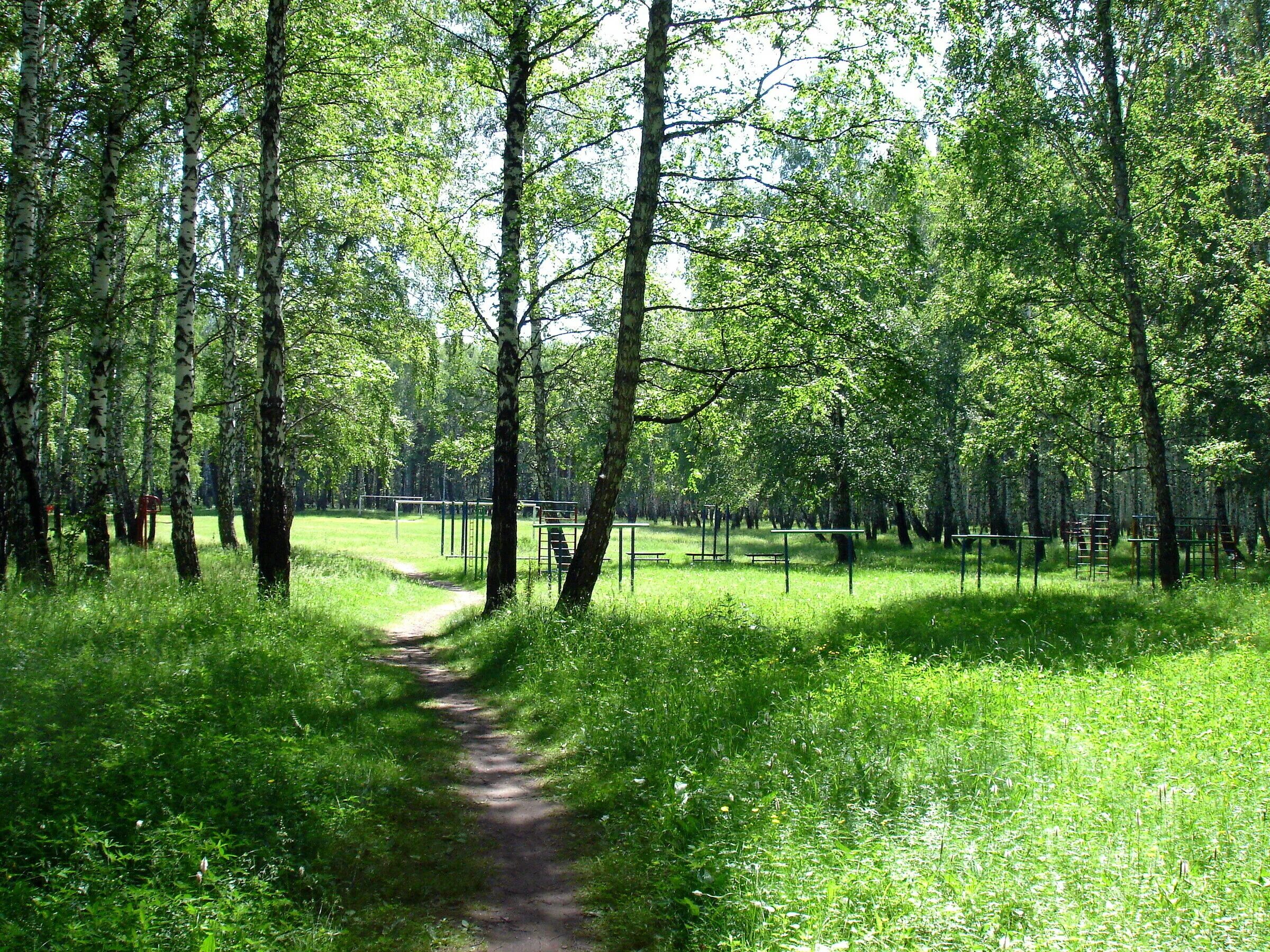 Парк имени гагарина тюмень фото Парк Гагарина, Тюмень. Где находится, на карте, растения, фото, адрес, как добра