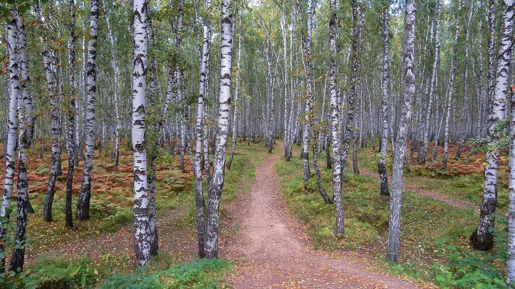 Парк имени гагарина тюмень фото парк имени Юрия Алексеевича Гагарина, park, Tyumen, park imeni Yuriya Alekseyevi