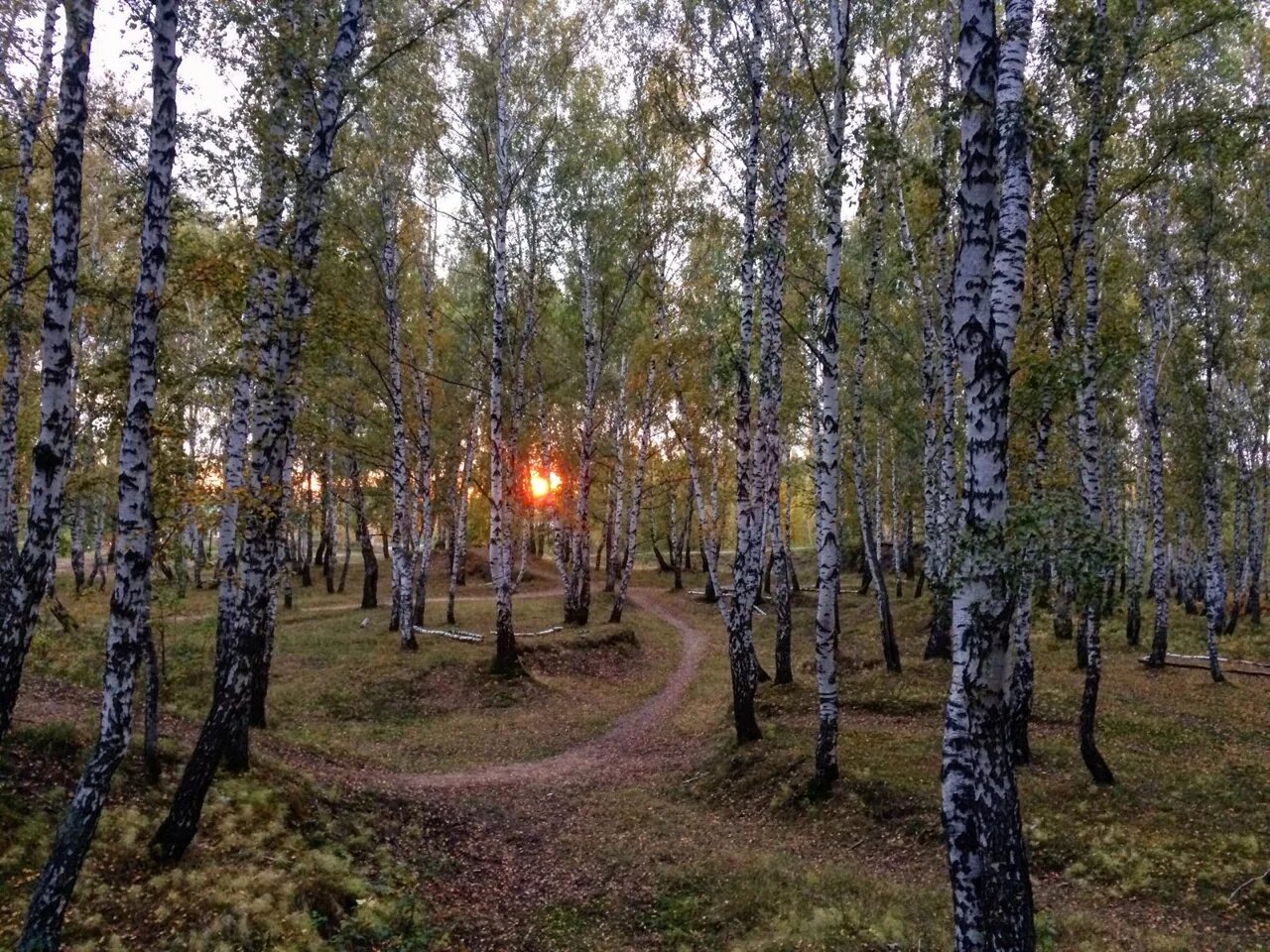 Парк имени гагарина тюмень фото Закат в "Гагаринском парке" 2019 Подсмотрено Тюмень Мыс Тарманы ВКонтакте