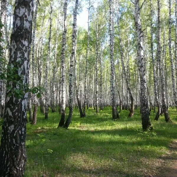 Парк имени гагарина тюмень фото Photos at Гагаринский парк - Park