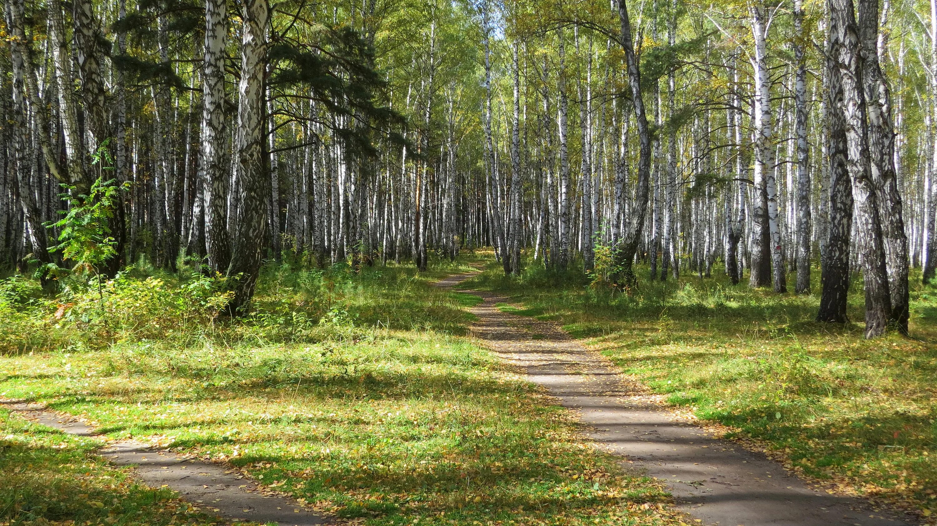 Парк имени гагарина тюмень фото Photo: парк имени Юрия Алексеевича Гагарина, park, Тюмень, парк имени Юрия Алекс