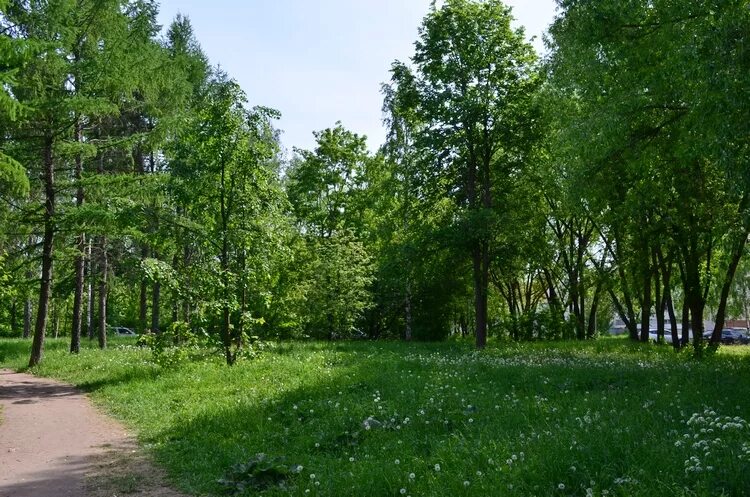 Парк имени гагарина тюмень фото Парк имени Ю.А. Гагарина - Парки, скверы