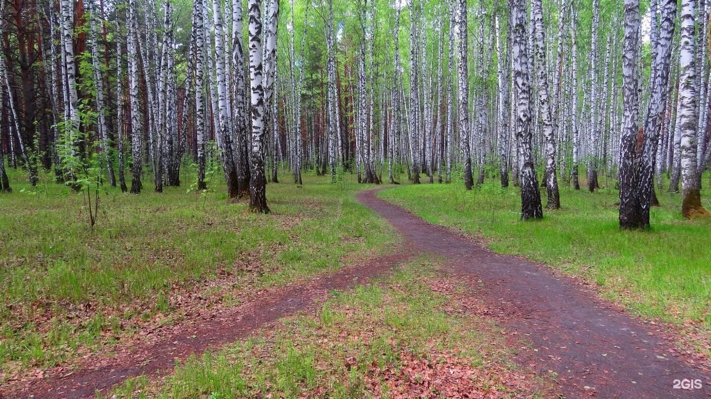 Парк имени гагарина тюмень фото Гагаринский парк тюмень фото YugNash.ru