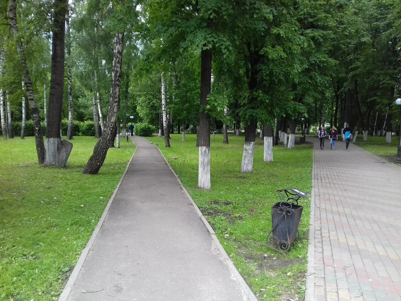Парк имени пушкина фото Фото: Центральный парк культуры и отдыха, парк культуры и отдыха, ул. Некрасова,