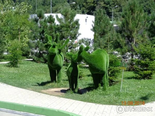 Парк иноземцева в пятигорске фото Отзыв о Парк Зеленая Планета (Россия, Сочи) Красота созданная рукам человека и к