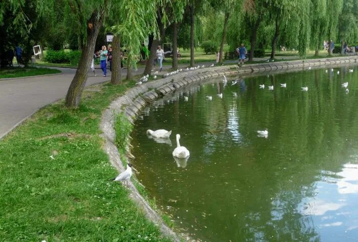 Парк ивушка ростоши оренбург фото Парк ивушка в ростошах оренбург - Фото
