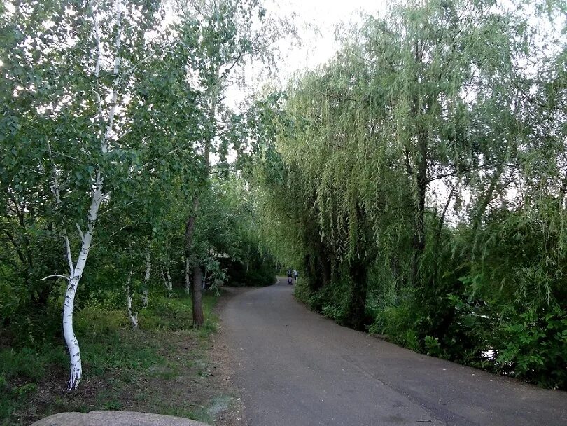 Парк ивушка ростоши оренбург фото Парк "Ивушка": vgannaa - ЖЖ