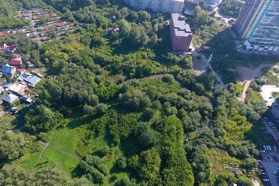 Парк каменка новосибирск фото Новый парк появится в пойме Каменки - KP.RU