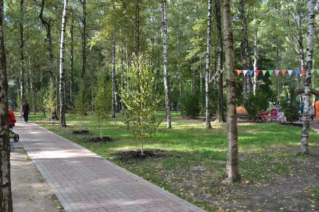 Парк киово лобня фото московская область Губернаторская акция "Наш лес. Посади свое дерево": центральная площадка акции в