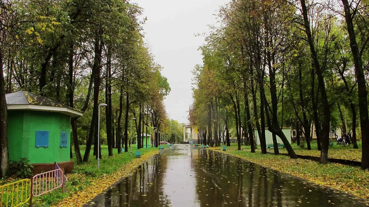 Парк кирова фото В Кирове часть Гагаринского парка признают памятником археологии Кirov.ru Дзен