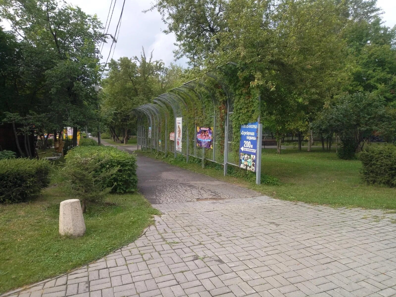 Парк кирова новосибирск фото Кировский сад новосибирск