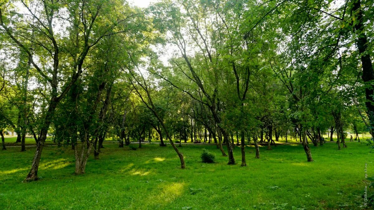 Парк кирова новосибирск фото Прогулка по парку Кирова - Мои фотографии