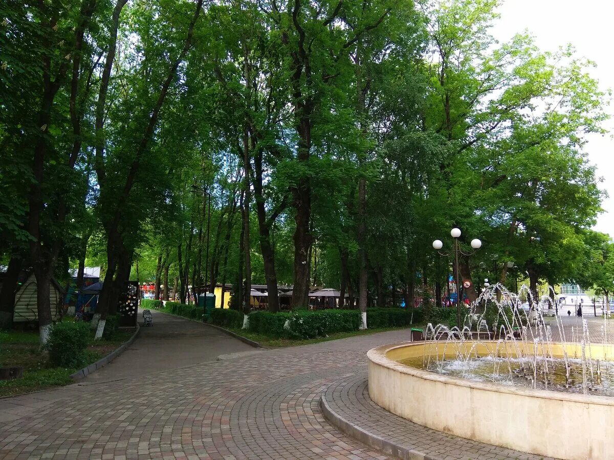 Парк кирова пятигорск фото Парк Кирова в Пятигорске выглядит отлично По горам Дзен