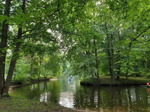 Парк кирова санкт петербург фото On Elagin island St. Petersburg became a victim of a rapist from Uzbekistan Guar