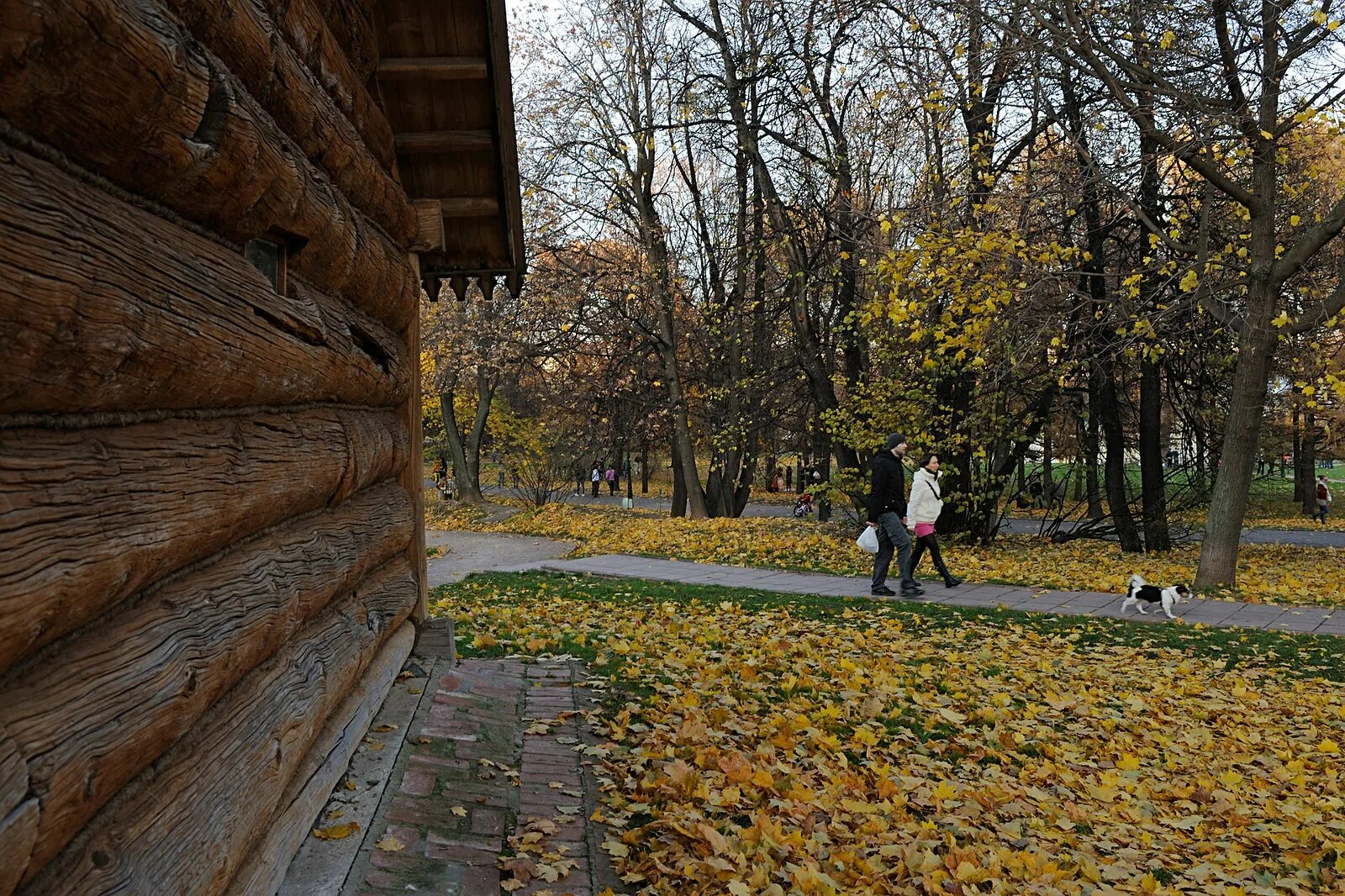 Парк коломенское осенью фото Nonstop Photos Олег Апанасюк / Коломенское осенью