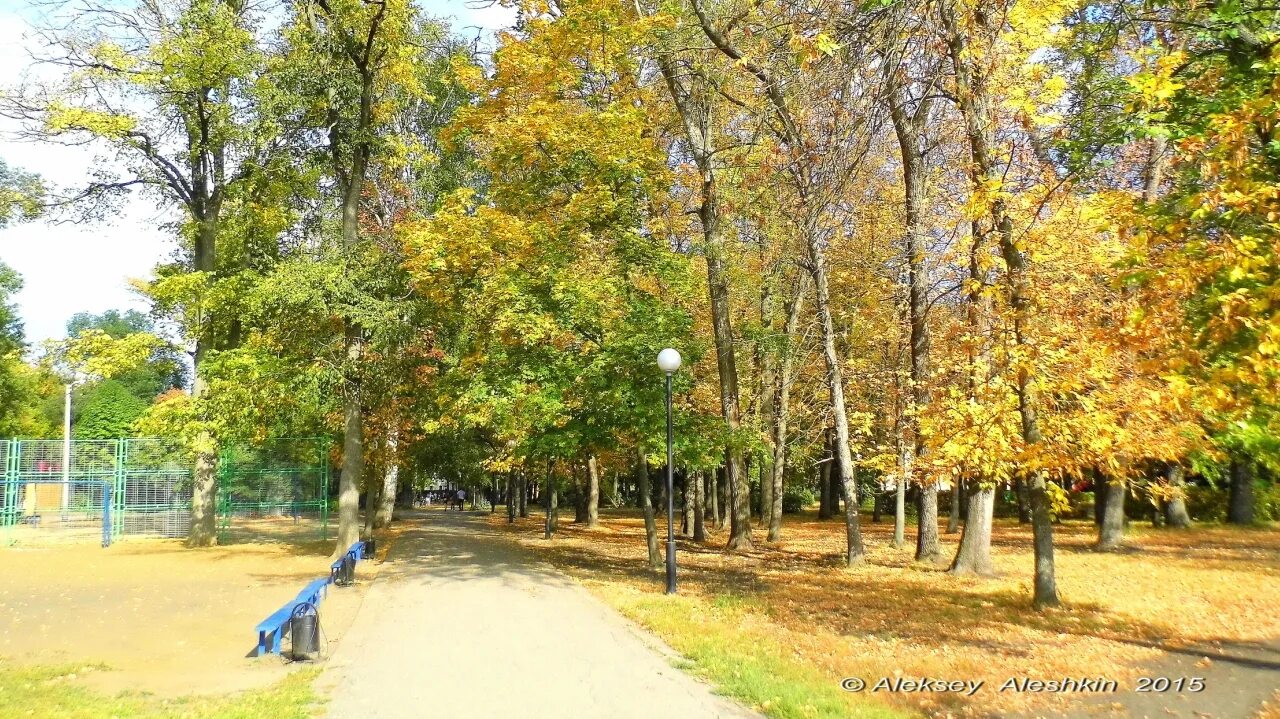 Парк комсомольский пенза фото Парковая пенза