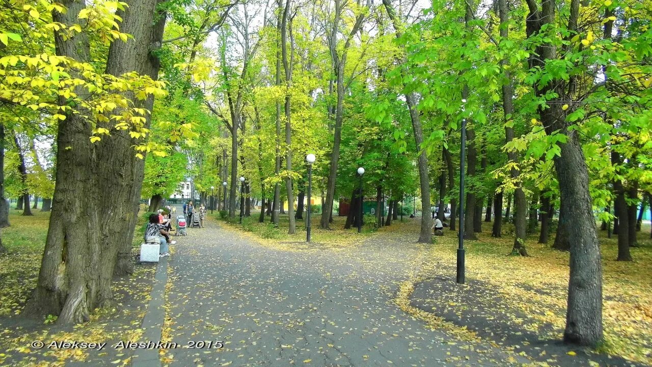 Парк комсомольский пенза фото ПЕНЗОВЕД.РФ - Просмотр темы - Комсомольский "Олимпийский" парк (Пенза)