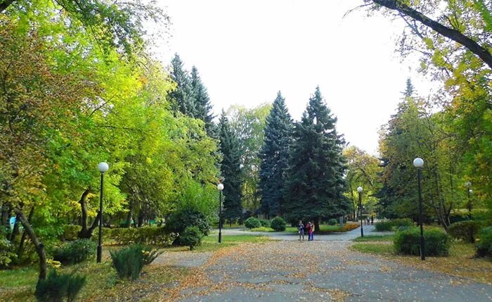 Парк комсомольский пенза фото Парки г пензы