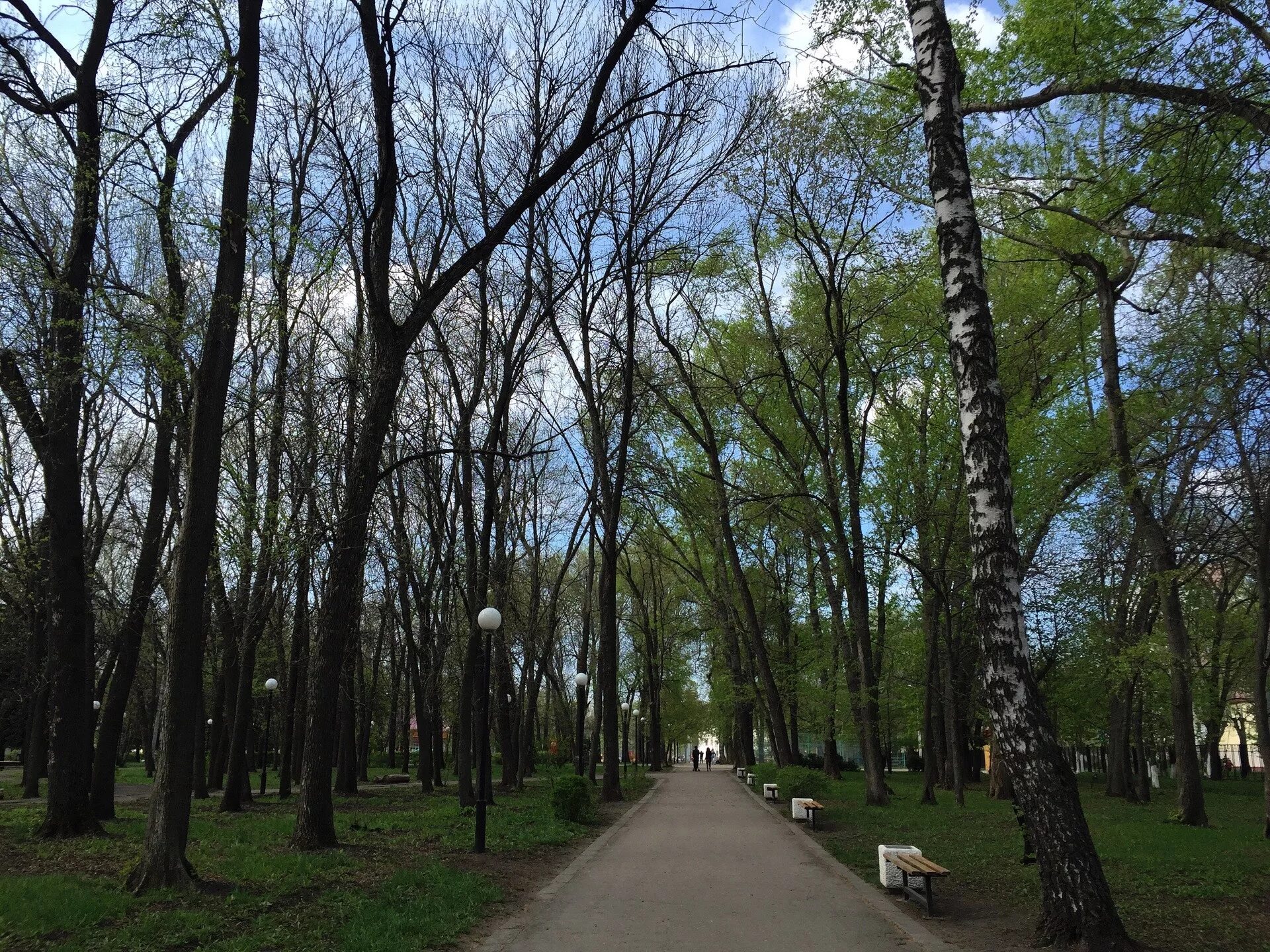 Парк комсомольский пенза фото Парок пенза