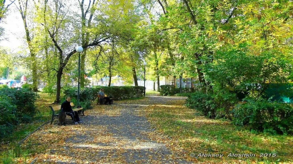 Парк комсомольский пенза фото Комсомольский, park, Penza, Gagarina Street, 6А - Yandex Maps