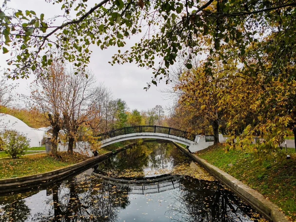 Парк красная пресня москва фото Фотогалерея парка - Парк "Красная Пресня"