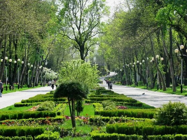 Парк краснодар краснодар городской сад фото Городской сад" - это природно-исторический памятник города, старейший парк Красн