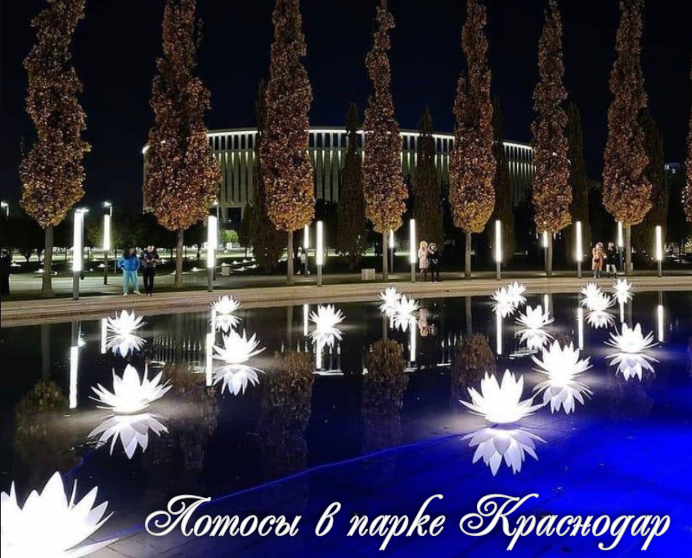 Парк краснодар ночью фото Парк "Краснодар" Галицкого. Часть 3. Крокодилов Дзен