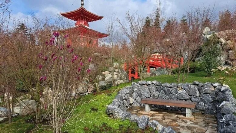 Парк краснодар японский сад фото Как попасть в Японский сад в парке Краснодаре. Полная инструкция - Новости Mail