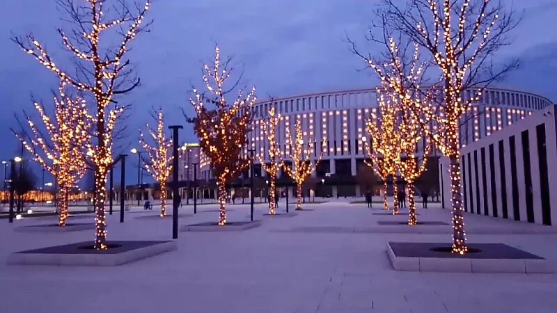 Парк краснодар зимой фото Видеоматериалы новостей в записи - Телеканал "Краснодар"