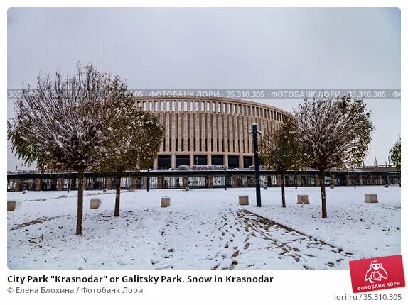 Парк краснодар зимой фото City Park "Krasnodar" or Galitsky Park. Snow in Krasnodar (2020 год). Редакционн