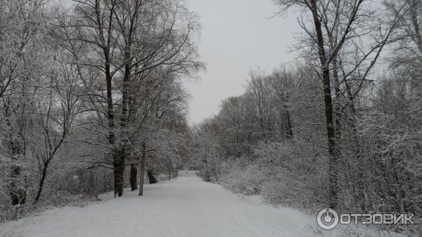 Парк красное поле великий новгород фото Отзыв о Парк "Красное Поле" (Россия, Великий Новгород) Настоящий природный парк