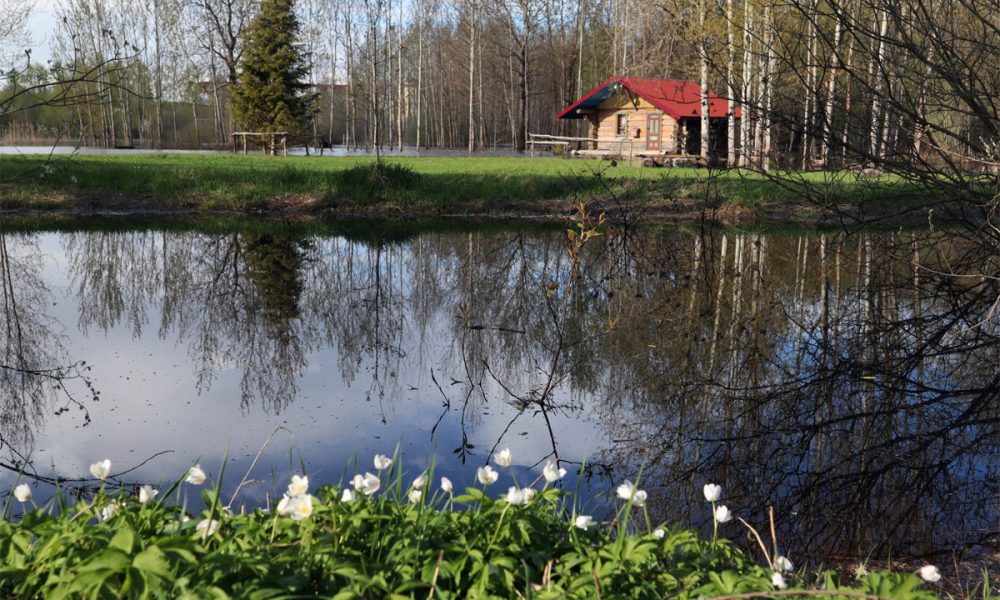 Парк красное поле великий новгород фото Парк на Красном поле назвали парком Красное поле - GPVN.RU