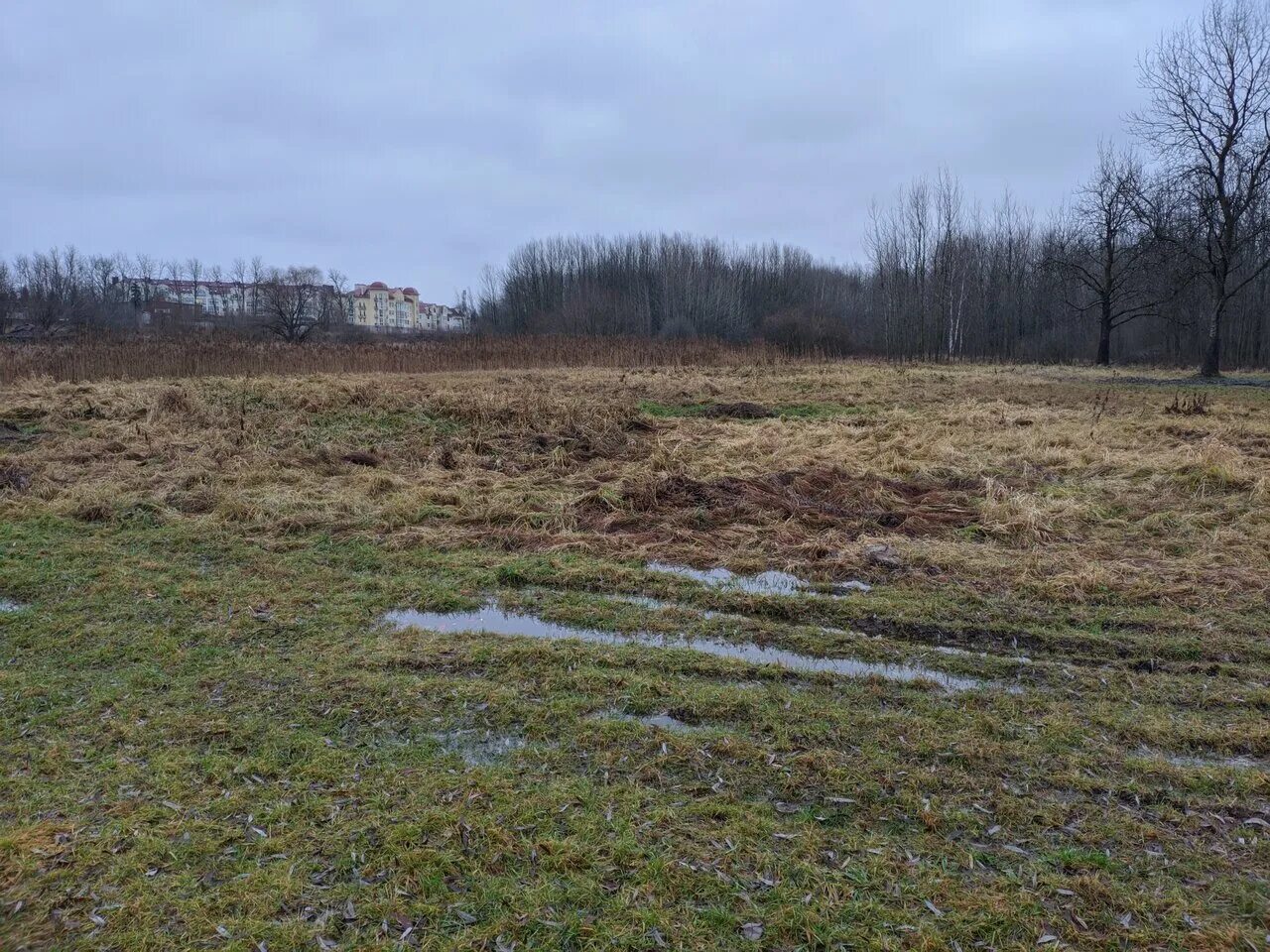 Парк красное поле великий новгород фото парк Красное поле, парк культуры и отдыха, Россия, Великий Новгород, парк Красно