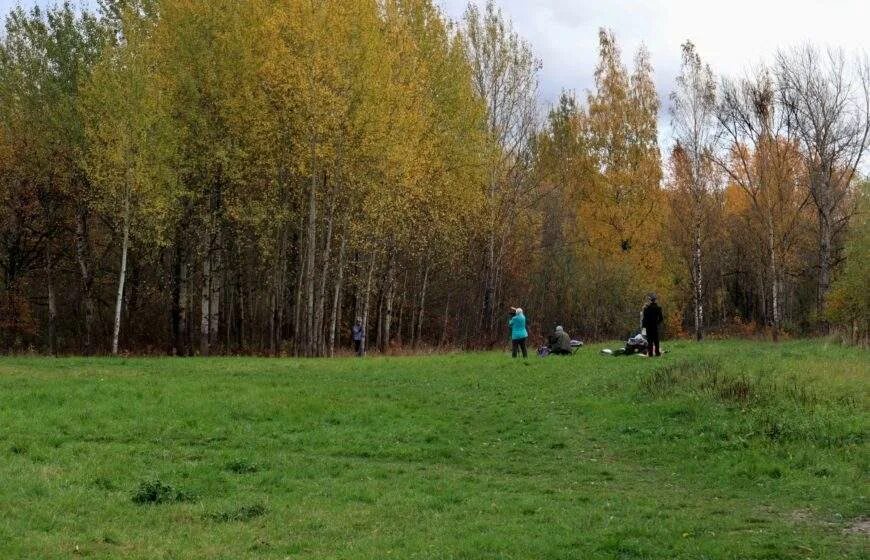 Парк красное поле великий новгород фото Парк в Великом Новгороде "Красное поле". Лесопарковая зона.