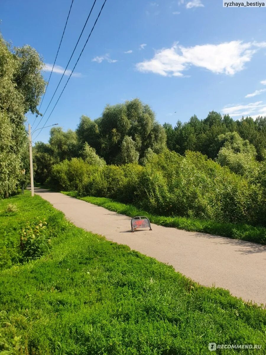 Парк красное поле великий новгород фото Парк "Красное поле", Великий Новгород - "Совсем недавно тут были заросли, а тепе