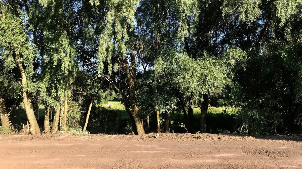 Парк красное поле великий новгород фото В парке на Красном поле приступили к благоустройству - GPVN.RU
