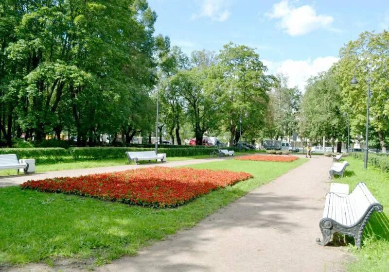 Парк красное село санкт петербург фото #город #ГородДетства 2020 Красное Село ВКонтакте