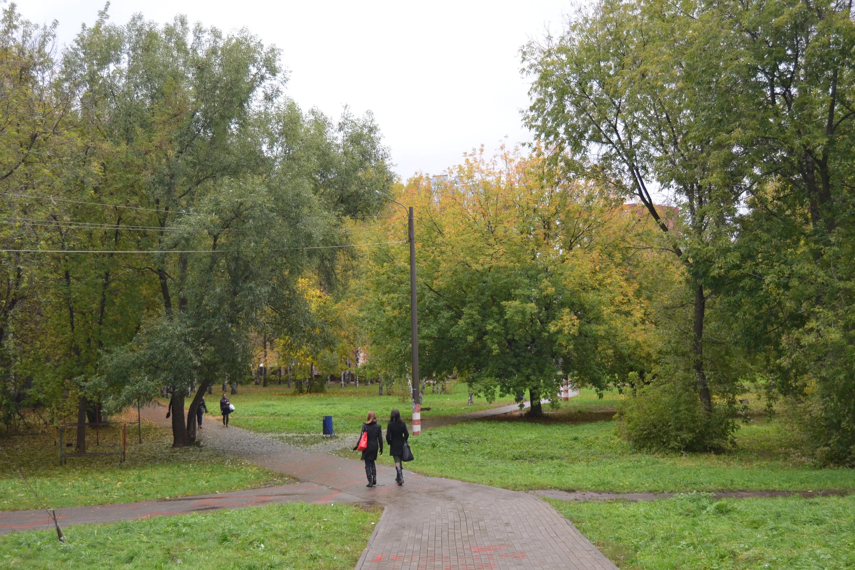 Парк кулибина нижний новгород фото In the Nizhny Novgorod square will plant about 200 trees and will arrange platfo