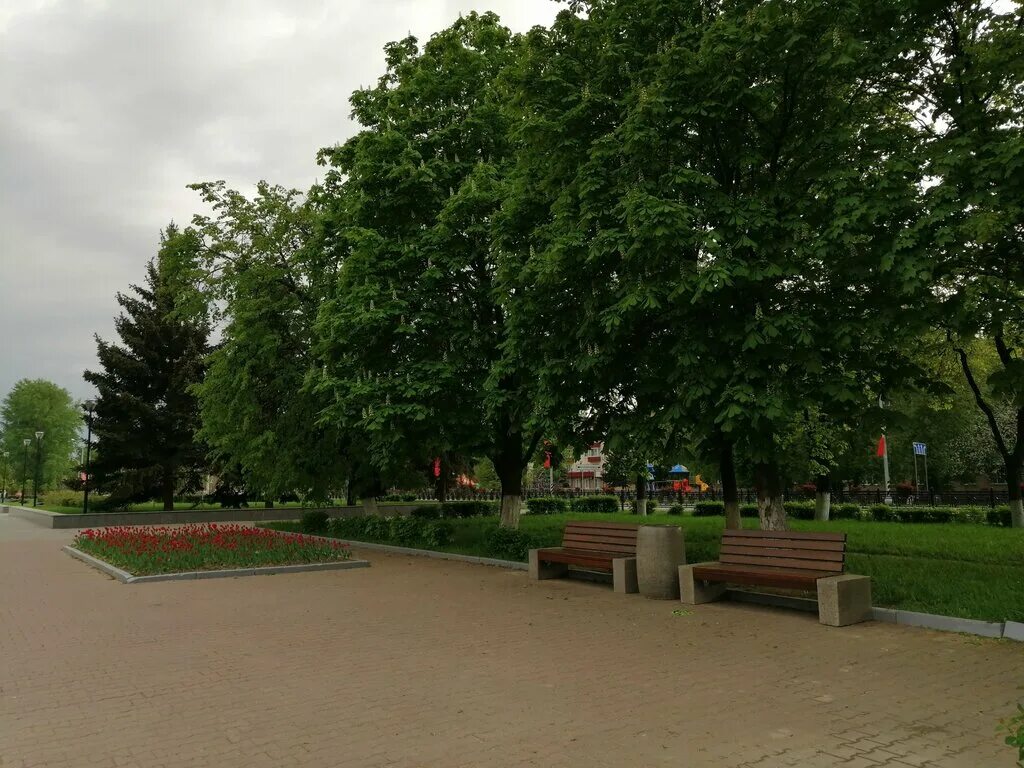 Парк культуры и отдыха 30 победы фото Панорама: Аллея 30-летия Победы в Великой Отечественной войне, парк культуры и о