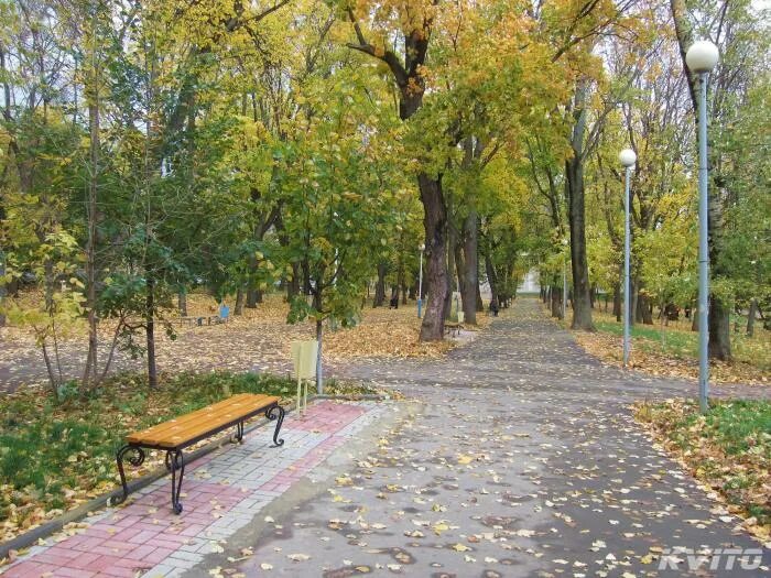 Парк культуры и отдыха орел фото Орловский городской парк культуры и отдыха