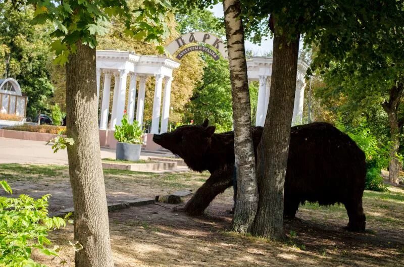 Парк культуры и отдыха орел фото Парки в орле - Фото