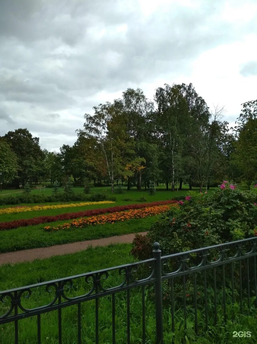 Парк куракина дача фото Куракина дача санкт петербург - блог Санатории Кавказа