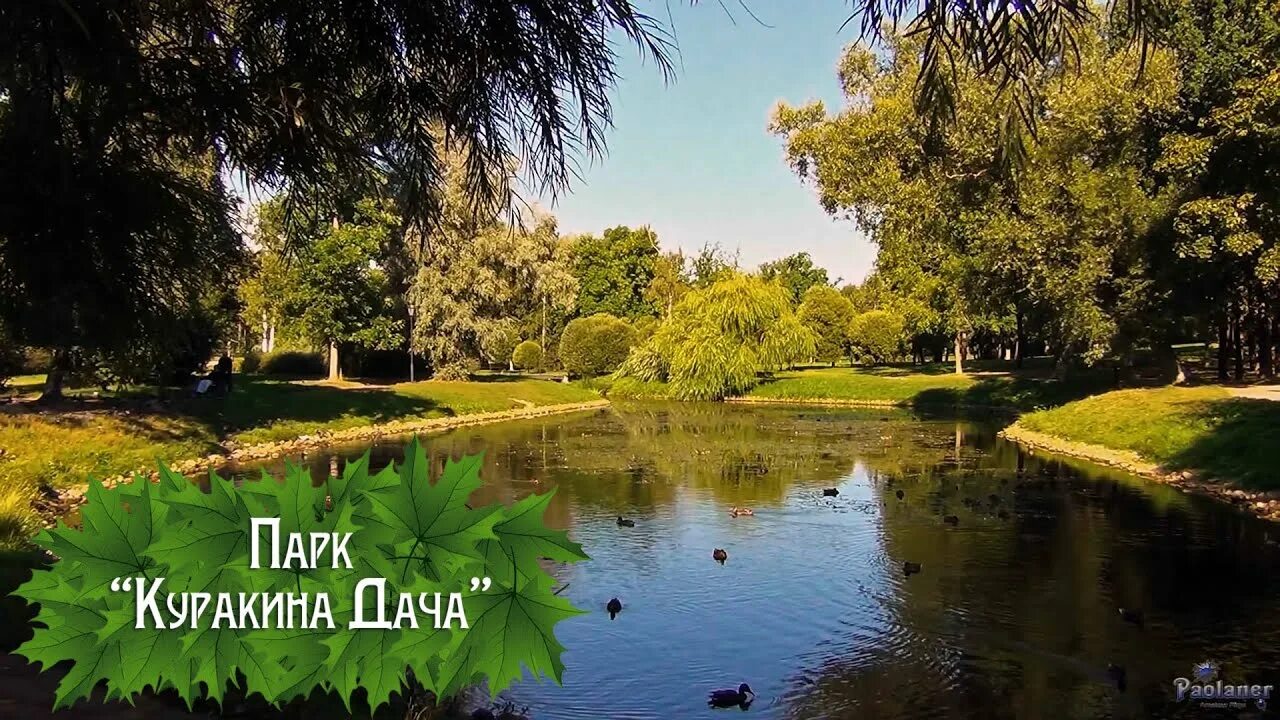 Парк куракина дача фото Парк "Куракина Дача" (2023) - YouTube