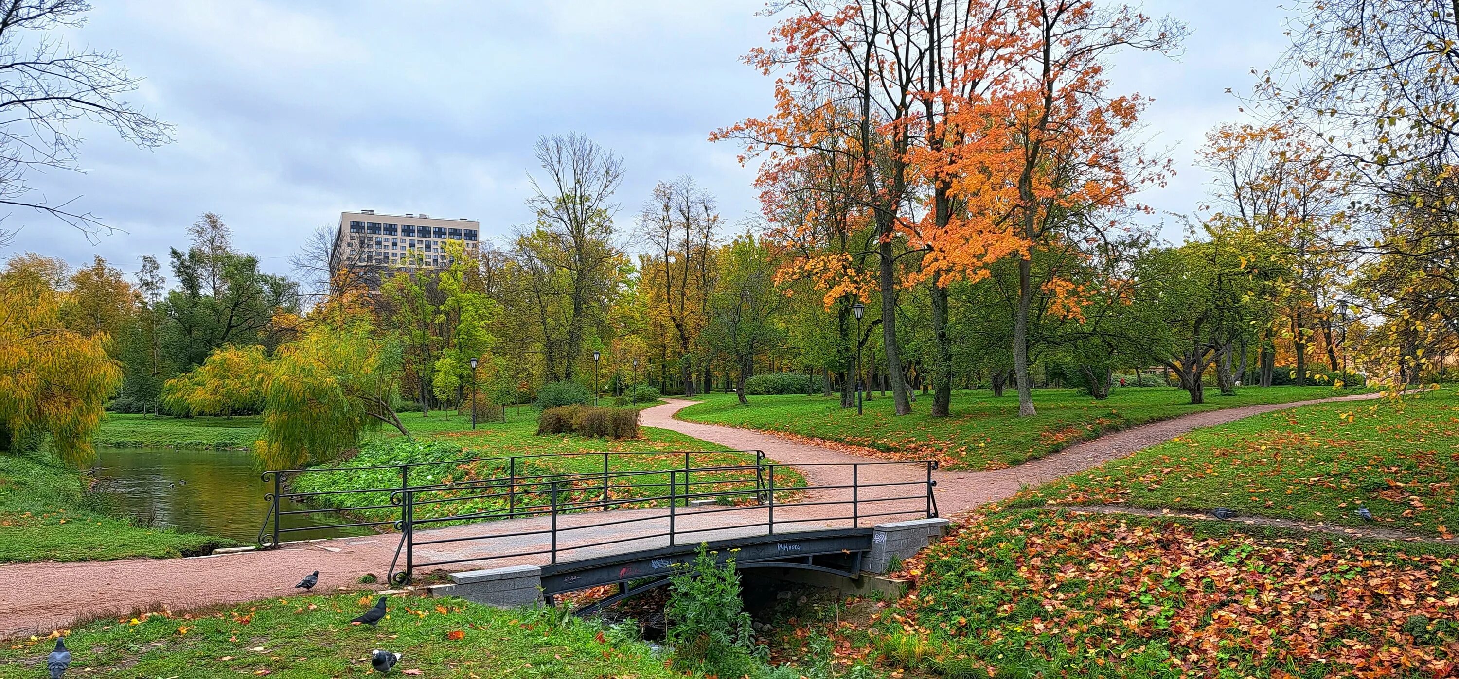 Парк куракина дача фото Photo: Парк Куракина Дача, park, Санкт-Петербург, пруд Козлов Ручей - Yandex Map