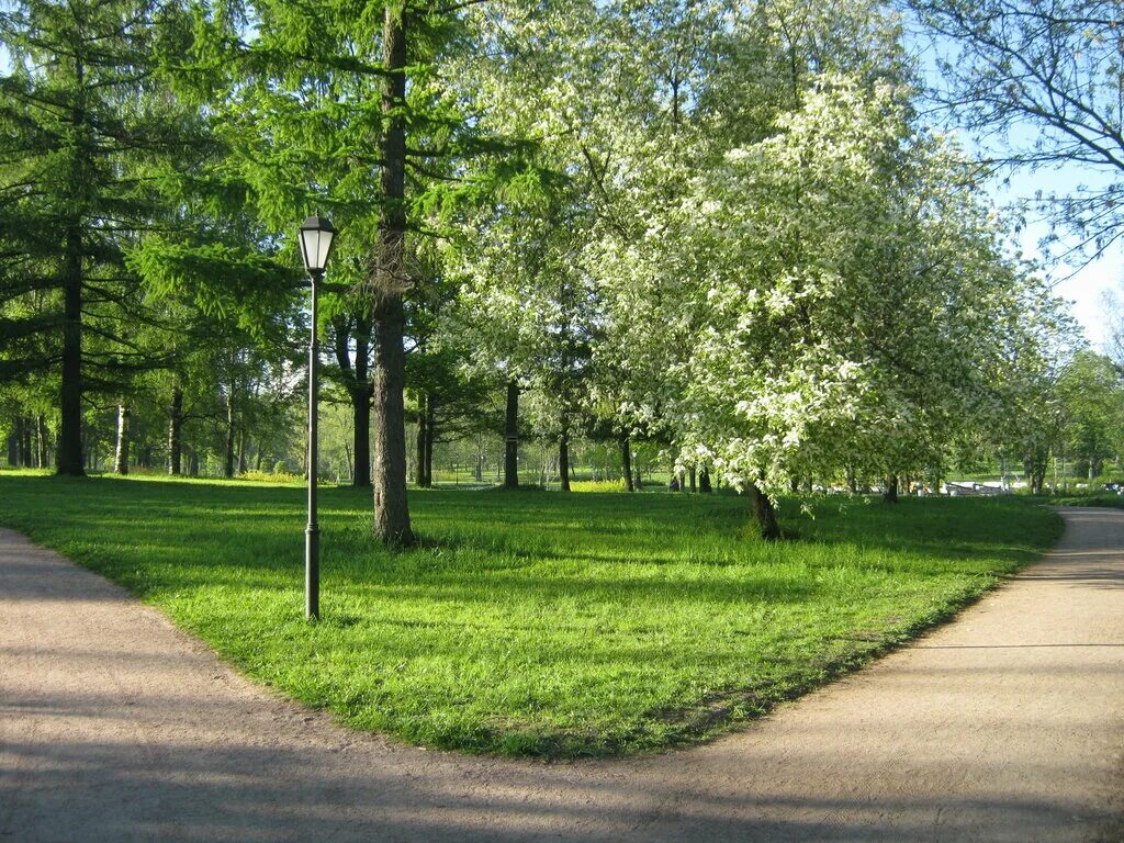Парк куракина дача санкт петербург фото Парк Куракина Дача, парк культуры и отдыха, Санкт-Петербург, пруд Козлов Ручей -