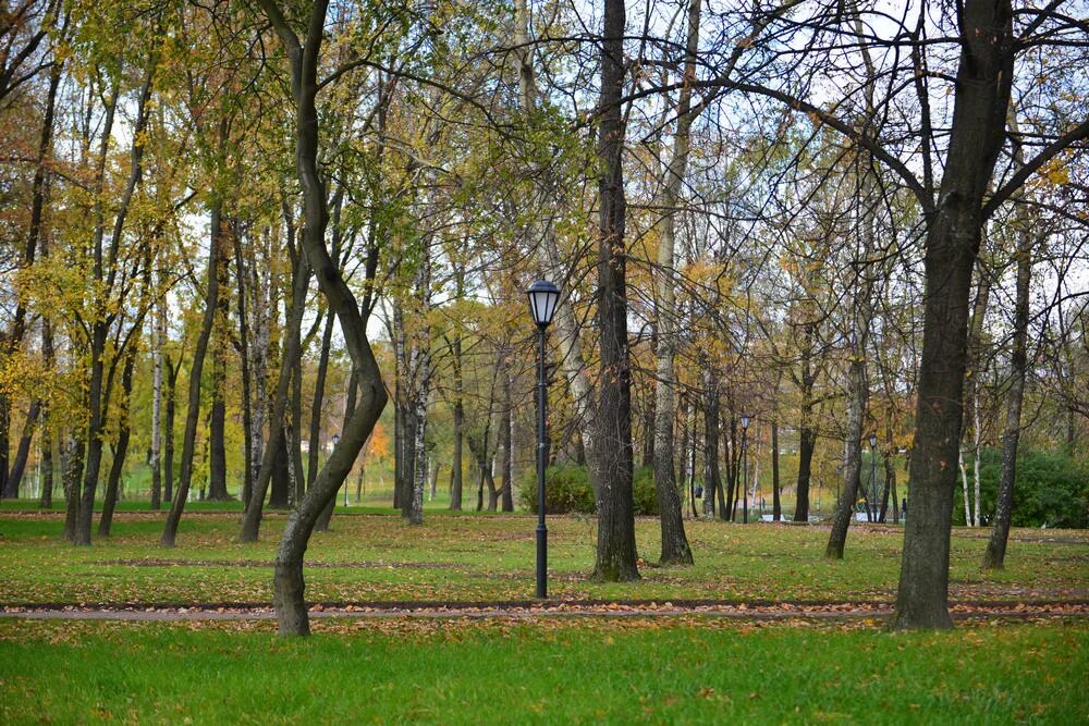 Парк куракина дача санкт петербург фото Парк "Куракина Дача" в Санкт-Петербурге - Портфолио Архимет