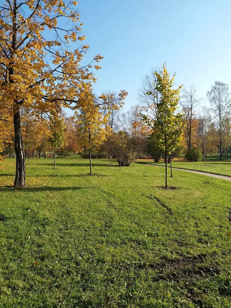 Парк куракина дача санкт петербург фото Куракина дача парк в санкт петербурге - блог RybolovMaster.ru