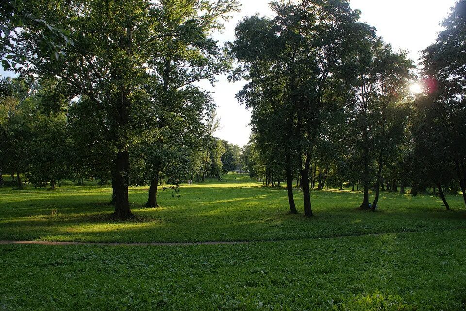 Парк куракина дача санкт петербург фото Парк "Куракина дача" - Pet-Trips