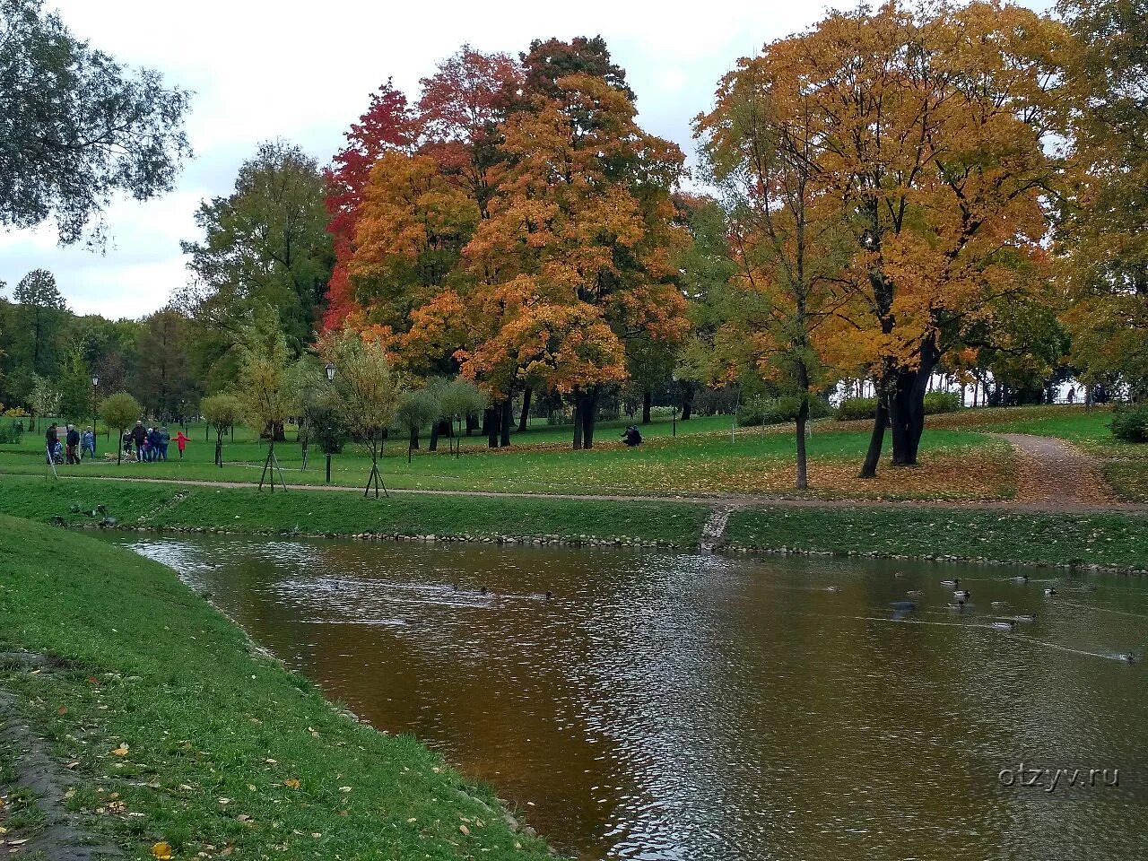 Парк куракина дача санкт петербург фото Осенние прогулки по паркам Санкт-Петербурга - рассказ от 24.10.19