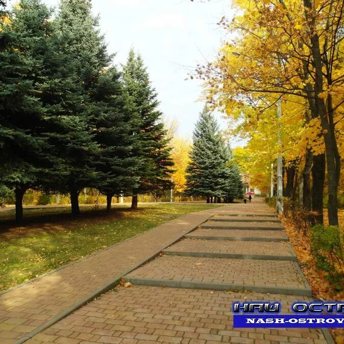 Парк кзтз курск парк кзтз фото Наш Остров - Скверы и другие места отдыха